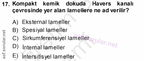 17. soru: Kompakt kemik dokuda Havers kanalı çevresinde yer alan amellere ne ad verilir? A) Eksternal lameller B) Spesiyal lame…