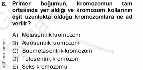 8. soru: Primer bogumun, kromozomun tam ortasında yer aldığı ve kromozom kollarının eşit uzunlukta olduğu kromozomlara ne ad v…