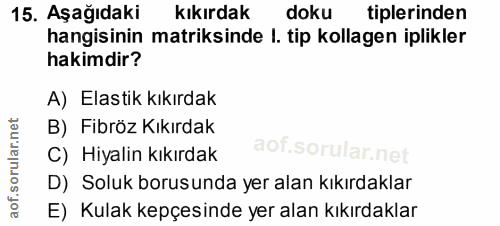 15. soru: Aşağıdaki kıkırdak doku tiplerinden hangisinin matriksinde I. tip kollagen iplikler hakimdir? A) Elastik kıkırdak B)…