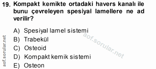 19. soru: Kompakt kemikte ortadaki havers kanalı ile bunu çevreleyen spesiyal lamellere ne ad verilir? A) Spesiyal lamel sistem…