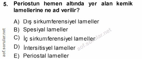 5. soru: Periostun hemen altında yer alan kemik lamellerine ne ad verilir? A) Dış sirkumterensiyel lameller C) Iç sirkumferens…