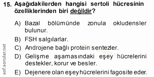 15. soru: Aşağıdakilerden hangisi sertoli hücresinin özelliklerinden biri değildir? A) Bazal bölümünde zonula okludensler bulun…