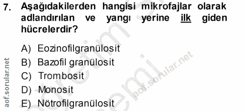 7. soru: Aşağıdakilerden hangisi mikrofajlar olarak adlandırılan veyangi yerine ilk giden hücrelerdir? A) Eozinofilgranülosit…