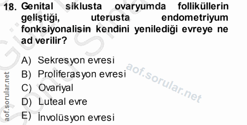 18. soru: Genital siklusta ovaryumda folliküllerin geliştiği, uterusta endometriyum fonksiyonalisin kendini yenilediği evreye n…