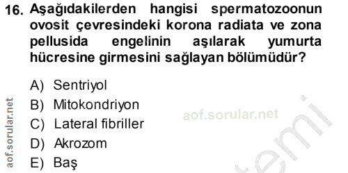 16. soru: Aşağıdakilerden hangisi spermatozoonun ovosit çevresindeki korona radiata ve zona pellusia engelinin aşılarak yumurta…