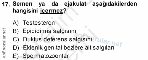 17. soru: Semen ya da ejakulat aşağıdakilerden hangisini içermez? A) Testesteron B) Epididimis salgısını D) Eklenik genital bez…