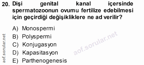 20. soru: Dişi genital kanal içersinde spermatozoonun ovumu fertilize edebilmesi için geçirdiği değişikliklere ne ad verilir? A…