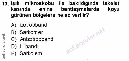 10. soru: Işık mikroskobu ile bakıldığında iskelet kasında enine antlaşmalarda koyu görünen bölgelere ne ad verilir? A) izotrop…