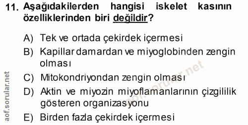11. soru: Aşağıdakilerden hangisi iskelet kasının özelliklerinden biri değildir? A) Tek ve ortada çekirdek içermesi B) Kapillar…