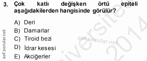 3. soru: Çok Katlı değişken örtü epiteli aşağıdakilerden hangisinde görülür? A) Deri B) Damarlar C) Tiroid bezi aof sörular.ne…