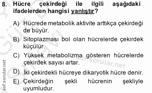 8. soru: Hücre çekirdeği ile ilgili aşağıdaki ifadelerden hangisi yanlıştır? A) Hücrede metabolik aktivite arttıkça çekirdeği…