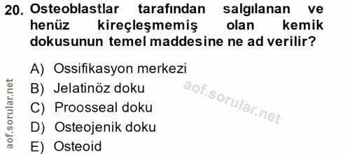 20. soru: Osteoblastlar tarafından salgilanan ve henüz kireçleşmemiş olan kemik dokusunun temel maddesine ne ad verilir? A) Oss…