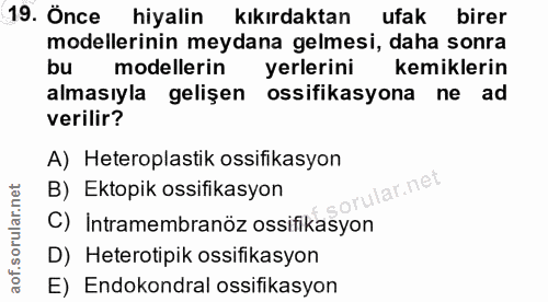 19. soru: Önce hiyalin kıkırdaktan ufak birer modellerinin meydana gelmesi, daha sonra bu modellerin yerlerini kemiklerin almas…