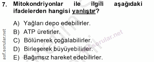 7. soru: Mitokondriyonlar ile ilgili aşağıdaki ifadelerden hangisi yanlıştır? A) Yağları depo edebilirler. B) ATP üretirler. u…