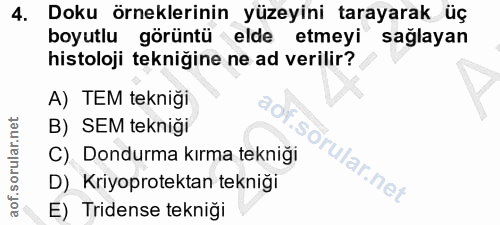 4. soru: Doku örneklerinin yüzeyini tarayarak üç boyutlu görüntü elde etmeyi sağlayan histoloji tekniğine ne ad verilir? A) TE…
