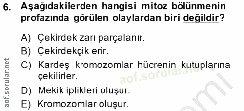 6. soru: Aşağıdakilerden hangisi mitoz bölünmenin profazında görülen olaylardan biri değildir? A) Çekirdek zarı parçalanır. B)…
