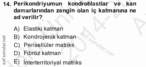 14. soru: Perikondriyumun kondroblastlar ve kan damarlarından zengin olan iç katmanına ne ad verilir? A) Elastiki katman B) Kon…