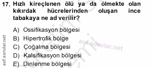 17. soru: Hızlı kireçlenen ölü ya da ölmekte olan kıkırdak hücrelerinden oluşan ince tabakaya ne ad verilir? A) Ossifikasyon bö…