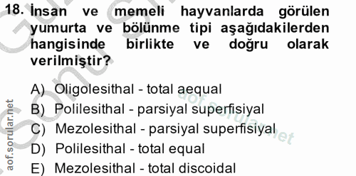 18. soru: Insan ve memeli hayvanlarda görülen yumurta ve bölünme tipi aşağıdakilerden hangisinde birlikte ve doğru olarak veril…