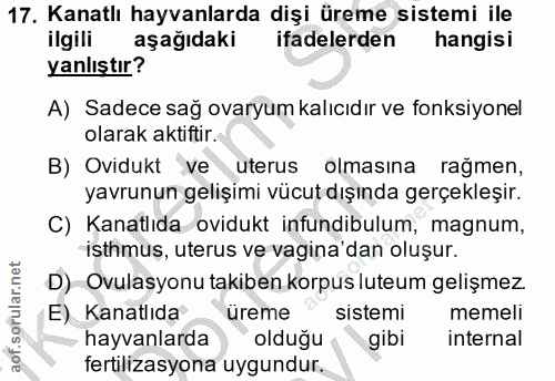 17. soru: Kanatlı hayvanlarda dişi üreme sistemi ile ilgili aşağıdaki ifadelerden hangisi yanlıştır? A) Sadece sağ ovaryum kalı…