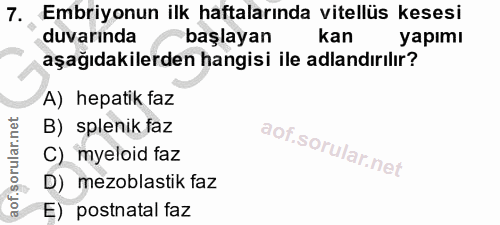 7. soru: Embriyonun ilk haftalarında vitellüs kesesi duvarında başlayan kan yapımı aşağıdakilerden hangisi ile adlandırılır? A…