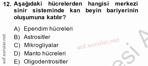 12. soru: Aşağıdaki hücrelerden hangisi merkezi sinir sisteminde kan beyin bariyerinin oluşumuna katılır? A) Ependim hücreleri…