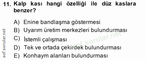 11. soru: Kalp kası hangi özelliği ile düz kaslara benzer? A) Enine bandlaşma göstermesi B) Uyarım üretim merkezleri bulundurma…