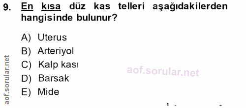9. soru: En kısa düz kas telleri aşağıdakilerden hangisinde bulunur? A) Uterus B) Arteriyol C) Kalp kası D) Barsak E) Mide