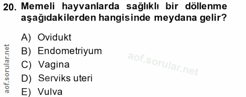 20. soru: Memeli hayvanlarda sağlıklı bir döllenme aşağıdakilerden hangisinde meydana gelir? A) Ovidukt B) Endometriyum C) Vagi…