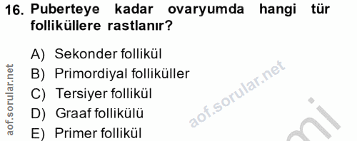 16. soru: Puberteye kadar ovaryumda hangi tür folliküllere rastlanır? A) Sekonder follikül B) Primordiyal folliküller C) Tersiy…