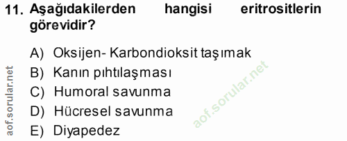 11. soru: Aşağıdakilerden hangisi eritrositlerin görevidir? A) Oksijen- Karbondioksit taşımak B) Kanın pıhtılaşması C) Humoral…