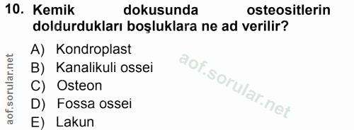 10. soru: Kemik dokusunda osteositlerin doldurdukları boşluklara ne ad verilir? A) Kondroplast B) Kanalikuli ossei C) Osteon D)…