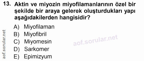 13. soru: Aktin ve miyozin miyofilamanlarının özel bir şekilde bir araya gelerek oluşturdukları yapı aşağıdakilerden hangisidir…
