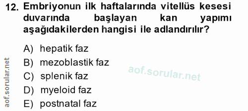12. soru: Embriyonun ilk haftalarında vitellüs kesesi duvarında başlayan kan yapımı aşağıdakilerden hangisi ile adlandırılır? A…