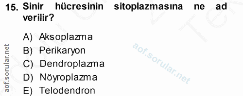 15. soru: Sinir hücresinin sitoplazmasına ne ad verilir? A) Aksoplazma B) Perikaryon C) Dendroplazma D) Nöyroplazma E) Telodendron