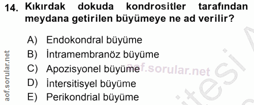 14. soru: Kıkırdak dokuda kondrositler tarafından meydana getirilen büyümeye ne ad verilir? A) Endokondral büyüme B) Intramembr…