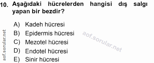 10. soru: Aşağıdaki hücrelerden hangisi dış salgı yapan bir bezdir? A) Kadeh hücresi B) Epidermis hücresi C) Mezotel hücresi D)…