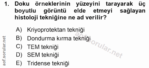 1. soru: Doku örneklerinin yüzeyini tarayarak üç boyutlu görüntü elde etmeyi sağlayan histoloji tekniğine ne ad verilir? A) Kr…