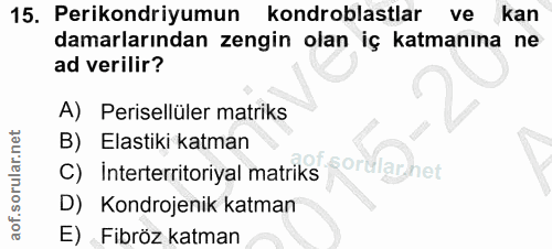 15. soru: Perikondriyumun kondroblastlar ve kan damarlarından zengin olan iç katmanına ne ad verilir? A) Perisellüler matriks B…