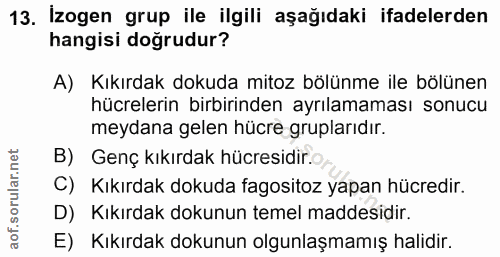 13. soru: İzogen grup ile ilgili aşağıdaki ifadelerden hangisi doğrudur? A) Kıkırdak dokuda mitoz bölünme ile bölünen hücreleri…