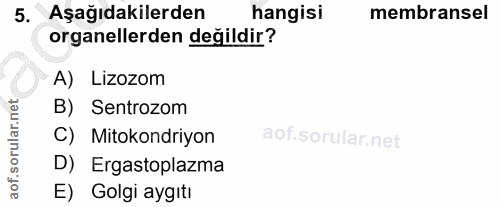 5. soru: Aşağıdakilerden hangisi membransel organellerden değildir? A) Lizozom B) Sentrozom C) Mitokondriyon D) Ergastoplazma…