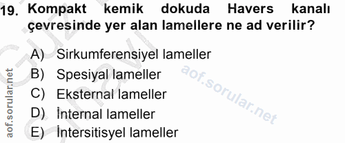 19. soru: Kompakt kemik dokuda Havers kanalı çevresinde yer alan lamellere ne ad verilir? A) Sirkumferensiyel lameller B) Spesi…