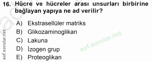 16. soru: Hücre ve hücreler arası unsurları birbirine bağlayan yapıya ne ad verilir? A) Ekstrasellüler matriks B) Glikozaminogl…