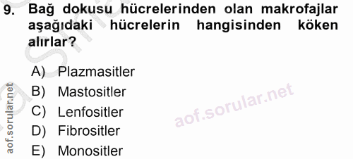 9. soru: Bağ dokusu hücrelerinden olan makrofajlar aşağıdaki hücrelerin hangisinden köken alırlar? A) Plazmasitler B) Mastosit…