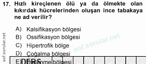 17. soru: Hızlı kireçlenen ölü ya da ölmekte olan kıkırdak hücrelerinden oluşan ince tabakaya ne ad verilir? A) Kalsifikasyon b…
