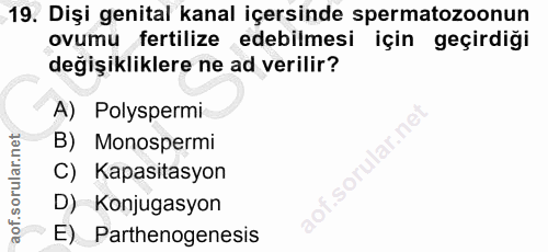 19. soru: Dişi genital kanal içersinde spermatozoonun ovumu fertilize edebilmesi için geçirdiği değişikliklere ne ad verilir? A…