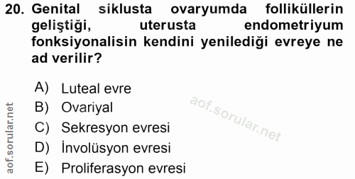20. soru: Genital siklusta ovaryumda folliküllerin geliştiği, uterusta endometriyum fonksiyonalisin kendini yenilediği evreye n…