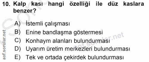 10. soru: Kalp kası hangi özelliği ile düz kaslara benzer? A) Istemli çalışması C) Konhaym alanları bulundurmaer net B) Enine b…