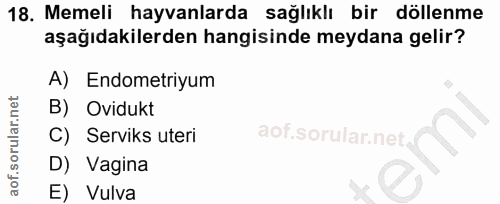 18. soru: Memeli hayvanlarda sağlıklı bir döllenme aşağıdakilerden hangisinde meydana gelir? A) Endometriyum B) Ovidukt C) Serv…