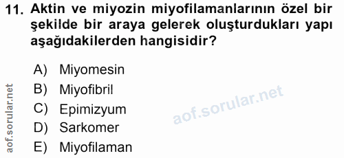 11. soru: Aktin ve miyozin miyofilamanlarının özel bir şekilde bir araya gelerek oluşturdukları yapı aşağıdakilerden hangisidir…